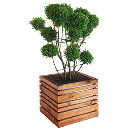 Jardinire Bois et Mtal LIGN Z 50 - Burger